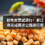 数电发票试运行!浙江省完成高速公路通行费电子发票系统改造(图4) 数电发票试运行!浙江省完成高速公路通行费电子发票系统改造(图4)
