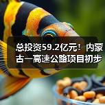 总投资59.2亿元！内蒙古一高速公路项目初步设计获批（图2）
