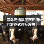 青岛高速集团两项团体标准正式获批发布！（图4）