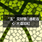 “玉”见好路┃通衢连心 大道如虹（图4）