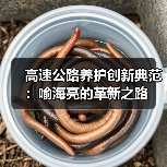 高速公路养护创新典范：喻海亮的革新之路（图2）