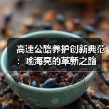 高速公路养护创新典范：喻海亮的革新之路（图4）