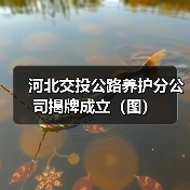 河北交投公路养护分公司揭牌成立（图）（图4）