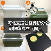 河北交投公路养护分公司揭牌成立（图）