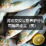 河北交投公路养护分公司揭牌成立（图）（图2）