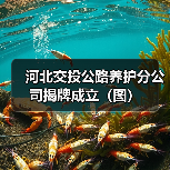 河北交投公路养护分公司揭牌成立（图）（图3）