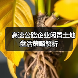 高速公路企业闲置土地盘活策略解析（图2）