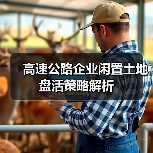 高速公路企业闲置土地盘活策略解析（图3）