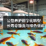 公路养护数字化转型：长寿命路面与绿色低碳融合路径