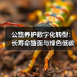 公路养护数字化转型：长寿命路面与绿色低碳融合路径（图4）