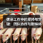 信息工作中的坚持与突破：团队协作与新媒体传播（图2）