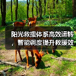 阳光救援体系高效运转，智能调度提升救援效率（图3）
