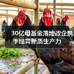 30亿母基金落地政企携手培育新质生产力