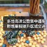 多地高速公路集中通车 新增里程提升区域交通（图4）