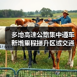 多地高速公路集中通车 新增里程提升区域交通（图2）