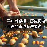 千年龙鳞桥：历史见证与茶马古道交通要道（图2）