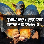 千年龙鳞桥：历史见证与茶马古道交通要道（图4）