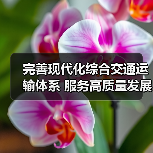 完善现代化综合交通运输体系 服务高质量发展与共同富裕（图4）