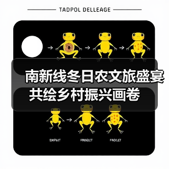 南新线冬日农文旅盛宴 共绘乡村振兴画卷（图2）