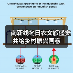 南新线冬日农文旅盛宴 共绘乡村振兴画卷（图4）