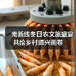 南新线冬日农文旅盛宴 共绘乡村振兴画卷