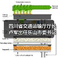四川省交通运输厅厅长卢军出任乐山市委书记（图4）