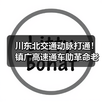 川东北交通动脉打通！镇广高速通车助革命老区振兴（图2）