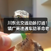 川东北交通动脉打通！镇广高速通车助革命老区振兴（图3）