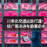 川东北交通动脉打通！镇广高速通车助革命老区振兴