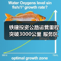 铁建投资公路运营里程突破3000公里 服务区域交通升级（图4）