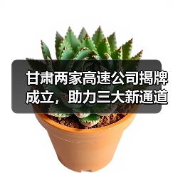 甘肃两家高速公司揭牌成立，助力三大新通道建设提速（图4）