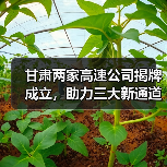 甘肃两家高速公司揭牌成立，助力三大新通道建设提速（图3）