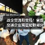 政企交流引变局！省级交通企业高管履新潮分析（图3）