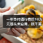 一年垫付通行费超10万元却从未启用，杭千高速这份信任如何破圈？（图2）