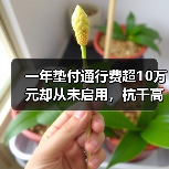 一年垫付通行费超10万元却从未启用，杭千高速这份信任如何破圈？