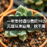 一年垫付通行费超10万元却从未启用，杭千高速这份信任如何破圈？（图4）