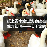 纸上得来终觉浅 躬身实践方知深——实干家的成事之道（图4）