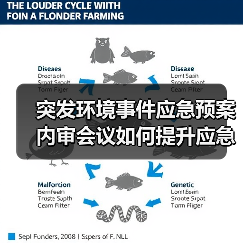突发环境事件应急预案内审会议如何提升应急处置能力？