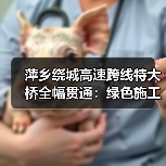 萍乡绕城高速跨线特大桥全幅贯通：绿色施工如何攻克复杂地质难题？（图2）