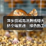 萍乡绕城高速跨线特大桥全幅贯通：绿色施工如何攻克复杂地质难题？（图4）