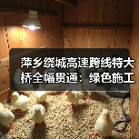 萍乡绕城高速跨线特大桥全幅贯通：绿色施工如何攻克复杂地质难题？
