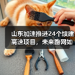 山东加速推进24个续建高速项目，未来路网如何升级？（图4）