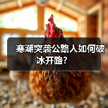 寒潮突袭公路人如何破冰开路？