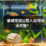 寒潮突袭公路人如何破冰开路？（图2）