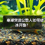 寒潮突袭公路人如何破冰开路？（图3）