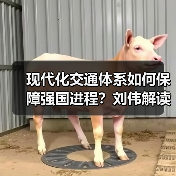 现代化交通体系如何保障强国进程？刘伟解读关键部署（图4）