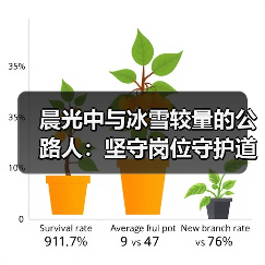 晨光中与冰雪较量的公路人：坚守岗位守护道路畅通（图2）