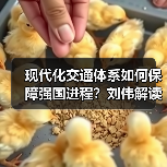 现代化交通体系如何保障强国进程？刘伟解读关键部署（图3）