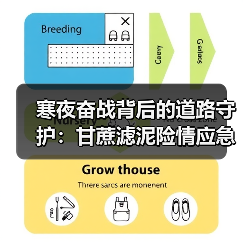 寒夜奋战背后的道路守护：甘蔗滤泥险情应急处理纪实
