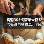 省道305线营渠大桥整治摄影月赛作品：揪心桥变安心路（图4）